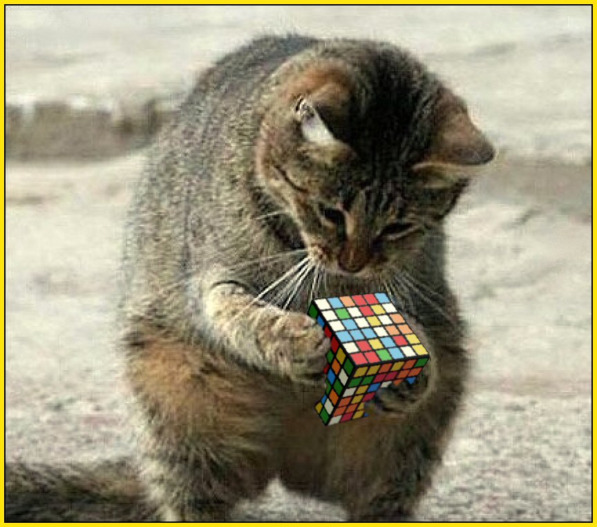 kat met rubicks cube